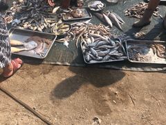 -青岛沙子口国家中心渔港