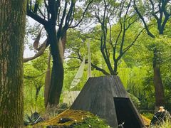 -上海鲜花港