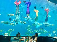 -瑞德姆美人鱼海底演艺主题餐厅(亚龙湾店)