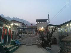 -闻道食府烙饼卷带鱼(原车耳营店原大觉寺店)