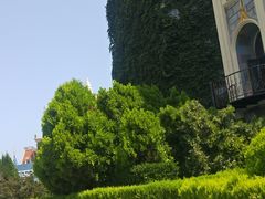 -蓬莱欧乐堡梦幻世界