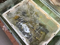 -寻味顺德·南记酒家·传统顺德菜·鱼生(广源路店)