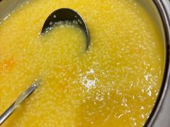 -朝郡酒家·粤菜(燕大星苑店)