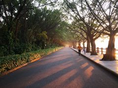 -大湾区中央湿地公园