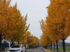 -西北农林科技大学(北校区)