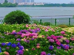 -金银湖国家城市湿地公园