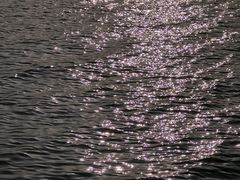 -滆湖低碳生态公园