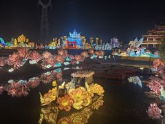 -淄博花灯齐彩城