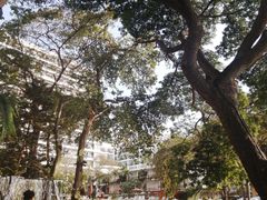 -网红落日悬崖餐厅 The Sky Gallery