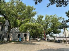 -江心屿景区