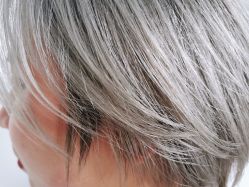 -梳蕾娜 HAIR SALON