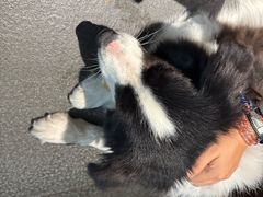 -Onirii Coffee(长乐路店)