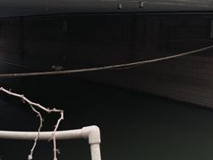 -成都市活水公园