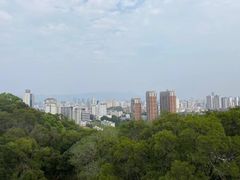 -福道