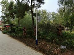 -合肥滨湖国家森林公园