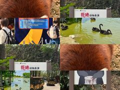 -合肥野生动物园