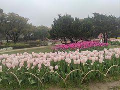 -无锡梅园公园