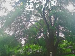 -广州兰圃