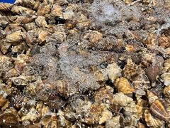 -三亚火车头万人海鲜广场