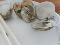 -小叶大馅饺子城
