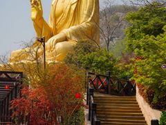 -大伊山景区