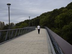 -牛岗山公园