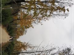 -白鹭湾湿地公园