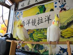-百里峡七彩艺术小镇