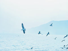 -滇池海埂公园