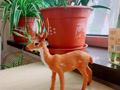 -北京周口店北京人遗址博物馆