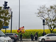 -三圣花乡旅游区