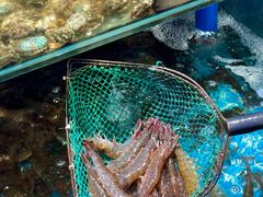 -良师门滨海人家·海鲜·家常菜(滨海城店)