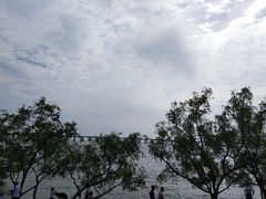 -宝安西湾红树林湿地公园