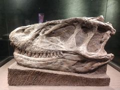 -自贡恐龙博物馆