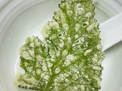-翠茗农庄土菜馆(天目湖店)