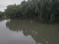 -华东政法大学(松江校区)