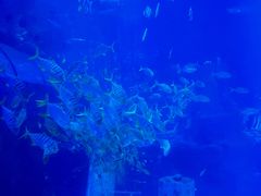 -太平洋海底世界