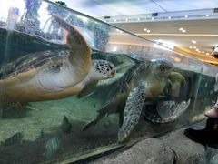 -鸿通城购物中心