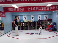 -嗨动跆拳道体能馆(菜百店)