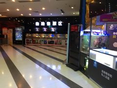 -太平洋影城(紫荆店)