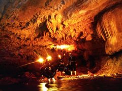 -怀托摩萤火虫洞