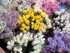 -循礼门鲜花花市(武汉循礼门店)