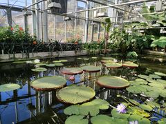 -国家植物园南园