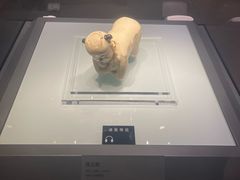 -张掖市博物馆