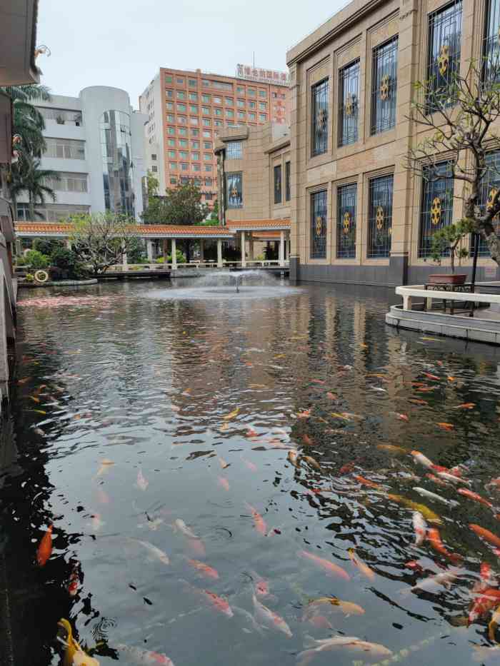 番禺宾馆丽苑厅-"因为肺炎疫情的情况,所以很多酒楼都没做堂.