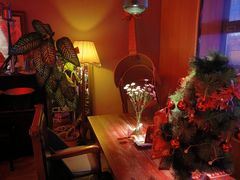 -鸡尾酒实验室酒吧(隆礼路店)