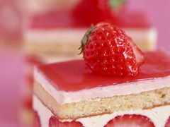 -维尔纳斯·生日蛋糕·动物奶油冰淇淋蛋糕(六里桥店)