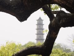 -江心屿景区