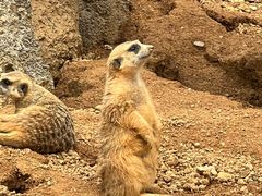 -杭州野生动物世界
