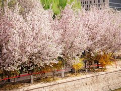 -元大都城垣遗址公园